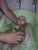 zu den Bildern der Woche vom 07.08.2002